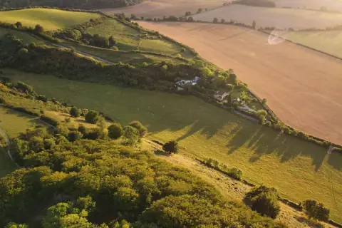 Aerial view of a wooded chalk hillside and fields in low golden light