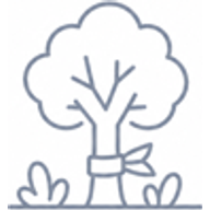 trees and landscaping illustration